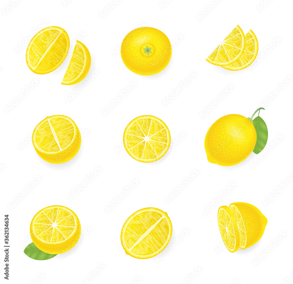 Vector set. Fresh lemon. Top view. Lemon sliced in various pieces. View from above.