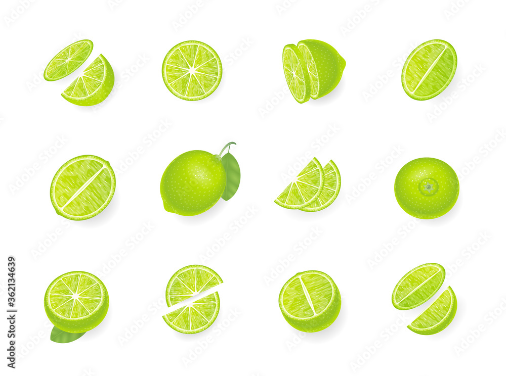 Vector set. Fresh lime. Top view. Lime sliced in various pieces. View from above.