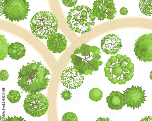 Seamless pattern. Forest top view. Various trees and plants. View from above. 