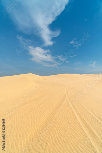 Bau Trang sand dunes  sub-Sahara desert in Binh Thuan province  Vietnam