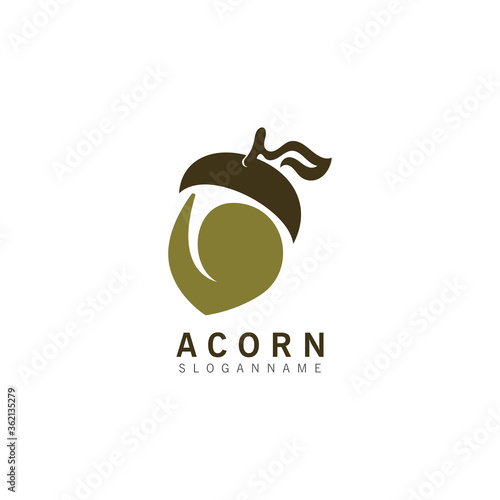 Acorn OAK inspiration simple logo ilustration vector icon template