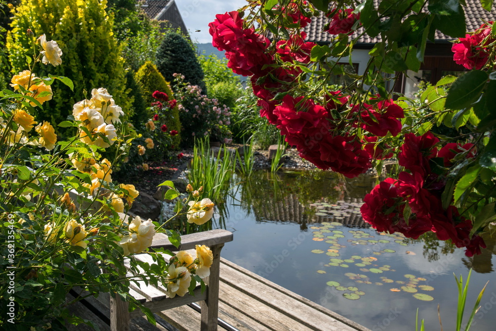 Obraz premium Rosenzauber