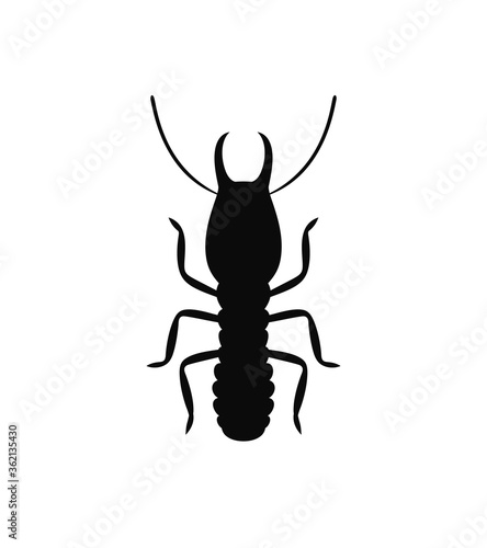 Termite silhouette. Isolated termite on white background © oleg7799
