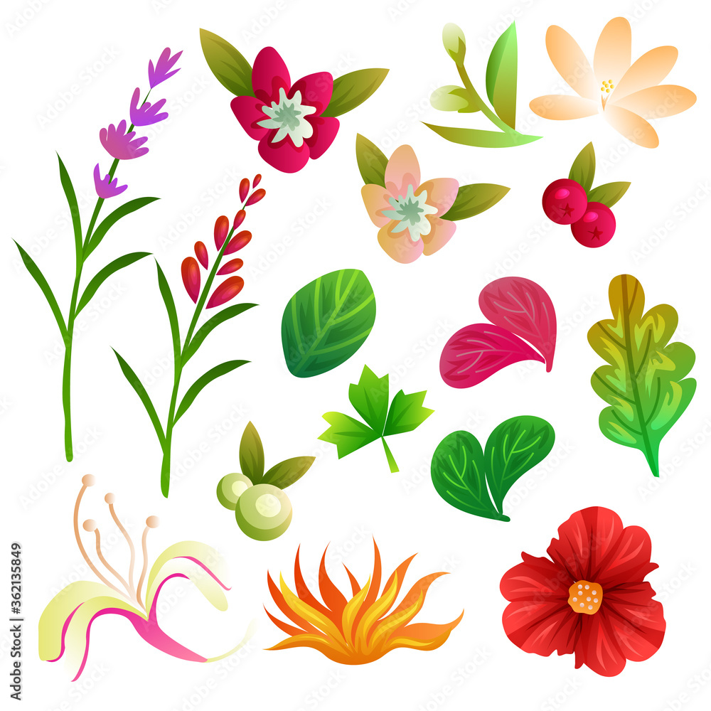 flower and foliage collection set