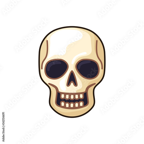 human skeleton icon isolated on white background. vector illustration