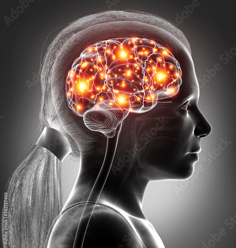 3d rendered, medically accurate illustration of a young girl active brain photo