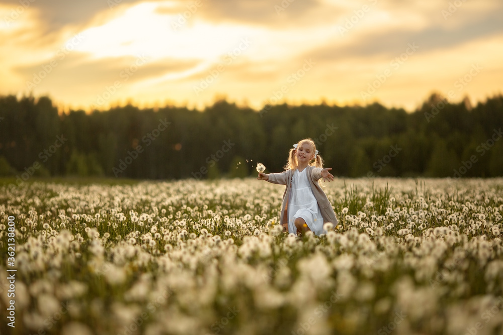 A little girl with blond hair is running through a field of white fluffy dandelions, her arms open, she is smiling and holding a bouquet in her hands. Image with selective focus. A little girl with blond hair is running through a field of white fluffy dandelions, her arms open, she is smiling and holding a bouquet in her hands. Image with selective focus.