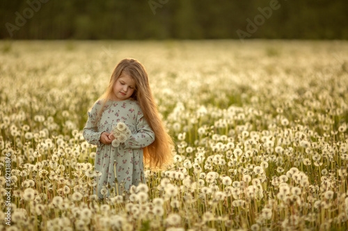A little girl with long blond hair is walking in a field of dandelions and collecting a bouquet. Image with selective focus.