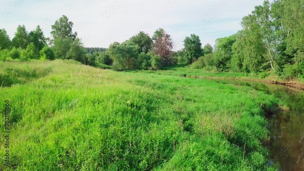 Green meadows with grass swaying from the wind. Nature field. Strong wind turbulence. Near the flowing river with trees growing along the banks. Summer landscape of nature of Russia. 4K resolution Green meadows with grass swaying from the wind. Nature field. Strong wind turbulence. Near the flowing river with trees growing along the banks. Summer landscape of nature of Russia. 4K resolution
