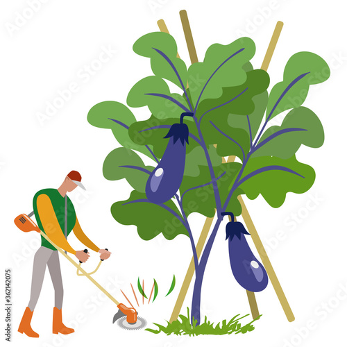 家庭菜園-石油草刈り機で草を刈る男性