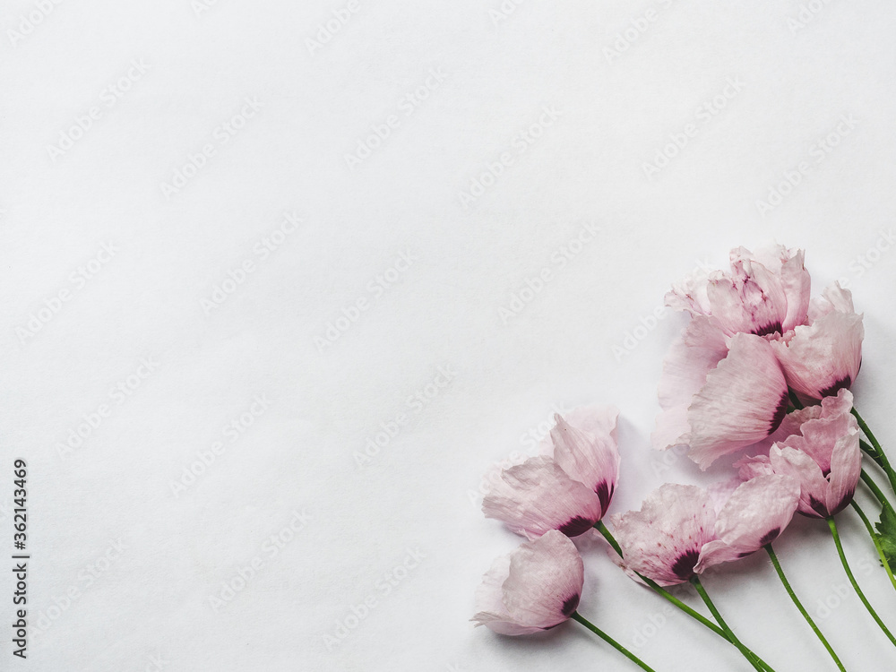 Beautiful, bright wildflowers lying on a white, wooden table. View from above, close-up Beautiful, bright wildflowers lying on a white, wooden table. View from above, close-up