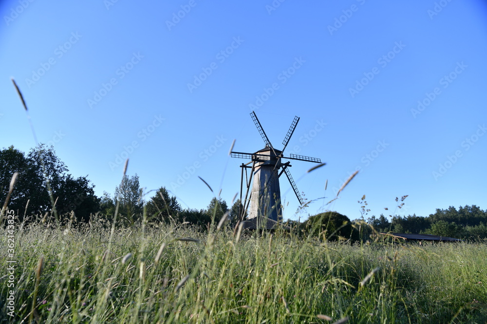 Fototapeta premium old wooden barn in a meadow at sunrise