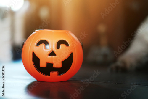 Smiling Halloween pumpkin head on wooden floor in natural shadow and sunlight. Halloween holiday concept.