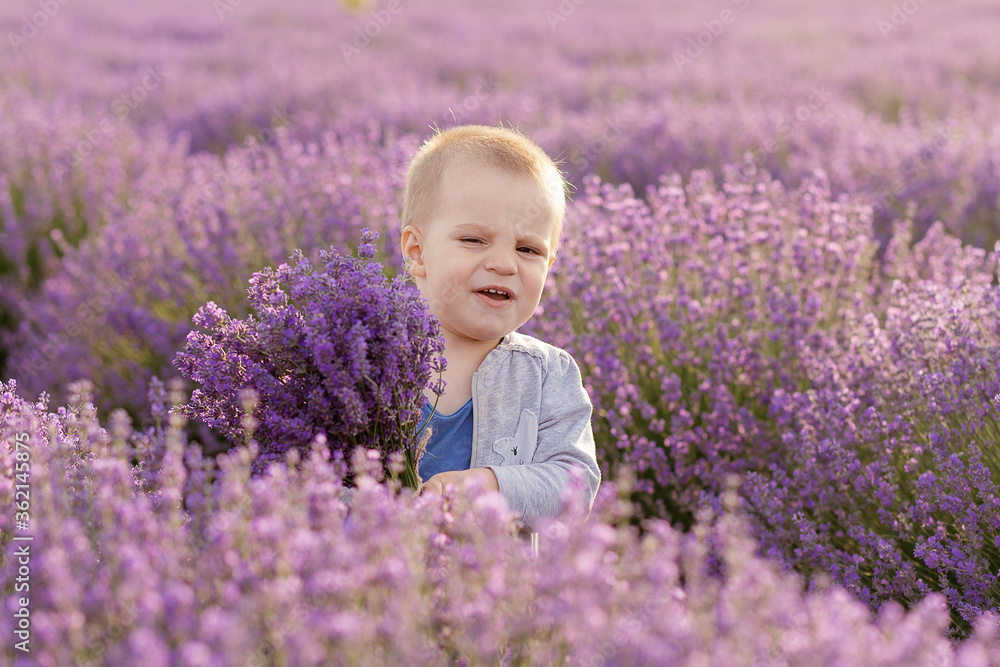 Blond boy plays with flowers in a lavender field Blond boy plays with flowers in a lavender field