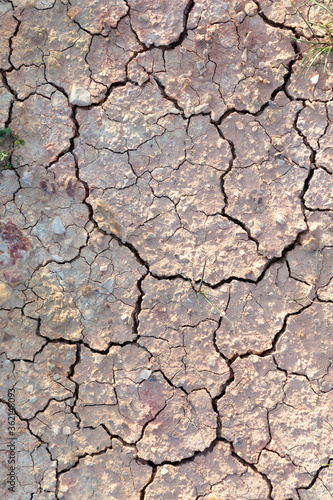 detail of cracked loam