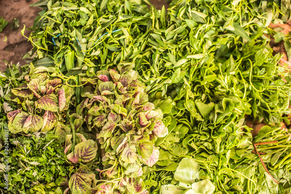 fruits, flowers and fish for sale at a market