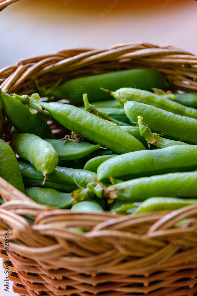 Green pea pods in a straw basket Green pea pods in a straw basket