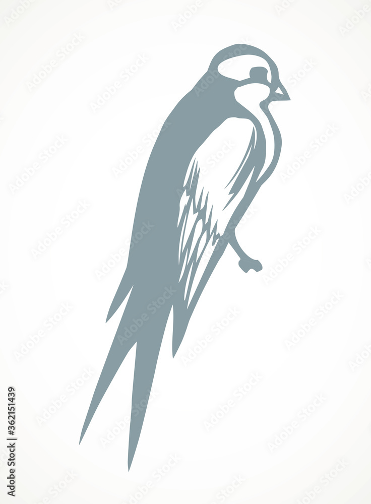 Swallows are sitting on a wire. Vector drawing Swallows are sitting on a wire. Vector drawing