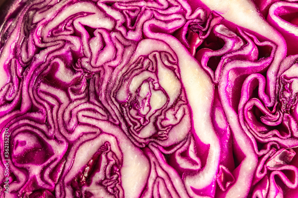 Obraz premium Red cabbage close-up. Vegetable background. Sectional cabbage. Diet.