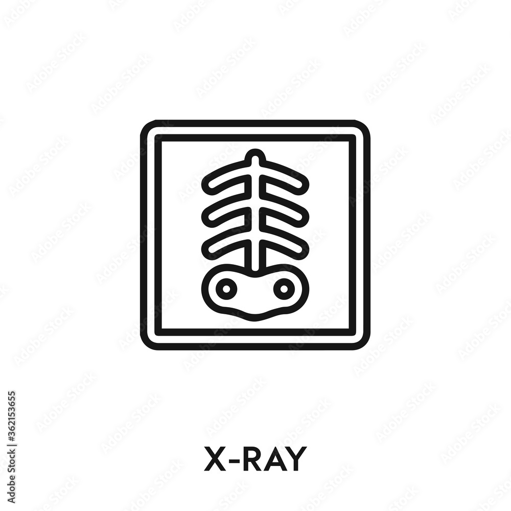 x-ray vector icon. x-ray sign symbol. Modern simple icon element for your design x-ray vector icon. x-ray sign symbol. Modern simple icon element for your design