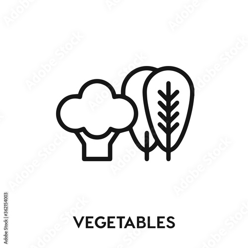 vegetables vector icon. vegetables sign symbol. Modern simple icon element for your design