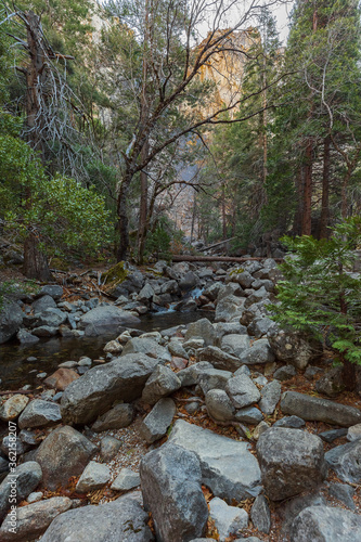 View of the winter Bridalveil Fall, trees, huge river rocks and Tuolumne River in Yosemite Park, California. © Светлана Маненок