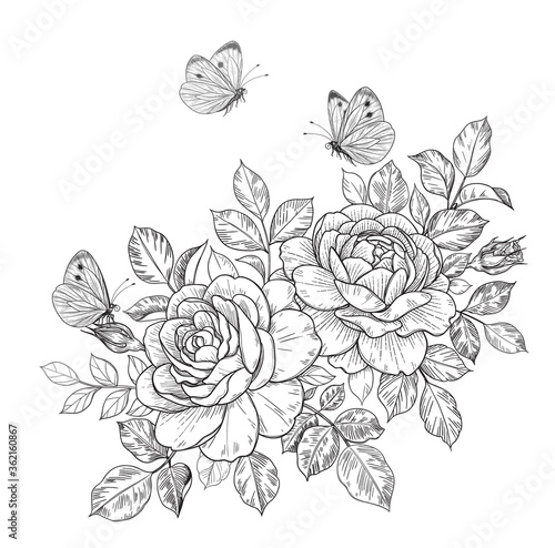 Hand Drawn Rose Flowers and Butterflies