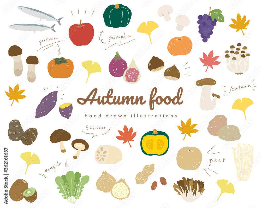 秋の味覚の手書きのイラストのセット 食欲の秋 シンプル おしゃれ Stock Vektorgrafik Adobe Stock