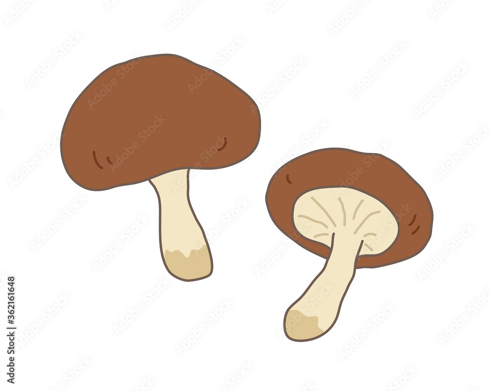手書きのきのこのイラスト 秋の味覚 松茸 椎茸 Vector De Stock Adobe Stock 手書きのきのこのイラスト 秋の味覚 松茸 椎茸 Vector De Stock Adobe Stock