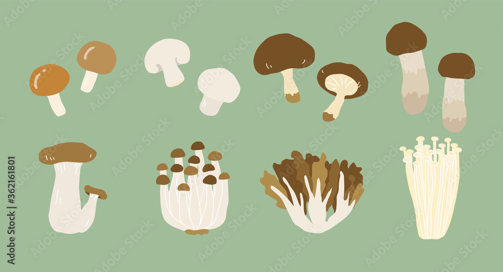 手書きのきのこのイラスト 秋の味覚 松茸 椎茸 Stock Illustration Adobe Stock