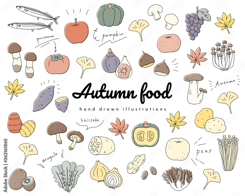 秋の味覚の手書きのイラストのセット 食欲の秋 シンプル おしゃれ Stock Illustration Adobe Stock