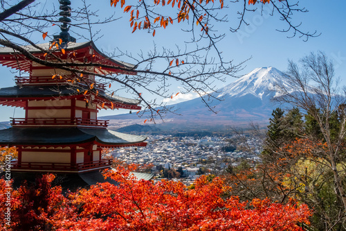 Famous autumn view of Mount Fuji with traditional red Chureito Pagoda and colorful japanese maple leaves  Japan