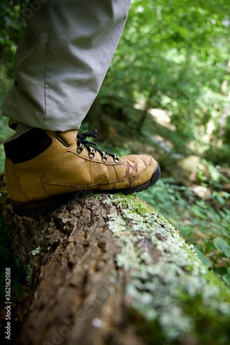 Chaussure pied marche - Forêt humide randonnée nature sport trek promenade balade - voyage tourisme 