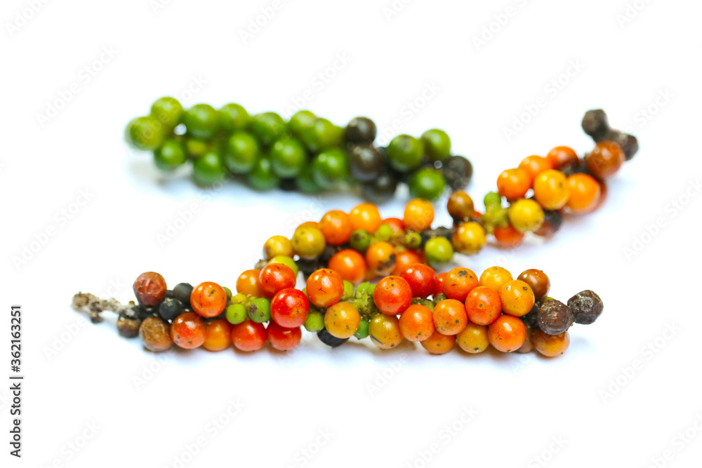 mix multicolor raw fresh and dry pepper isolated