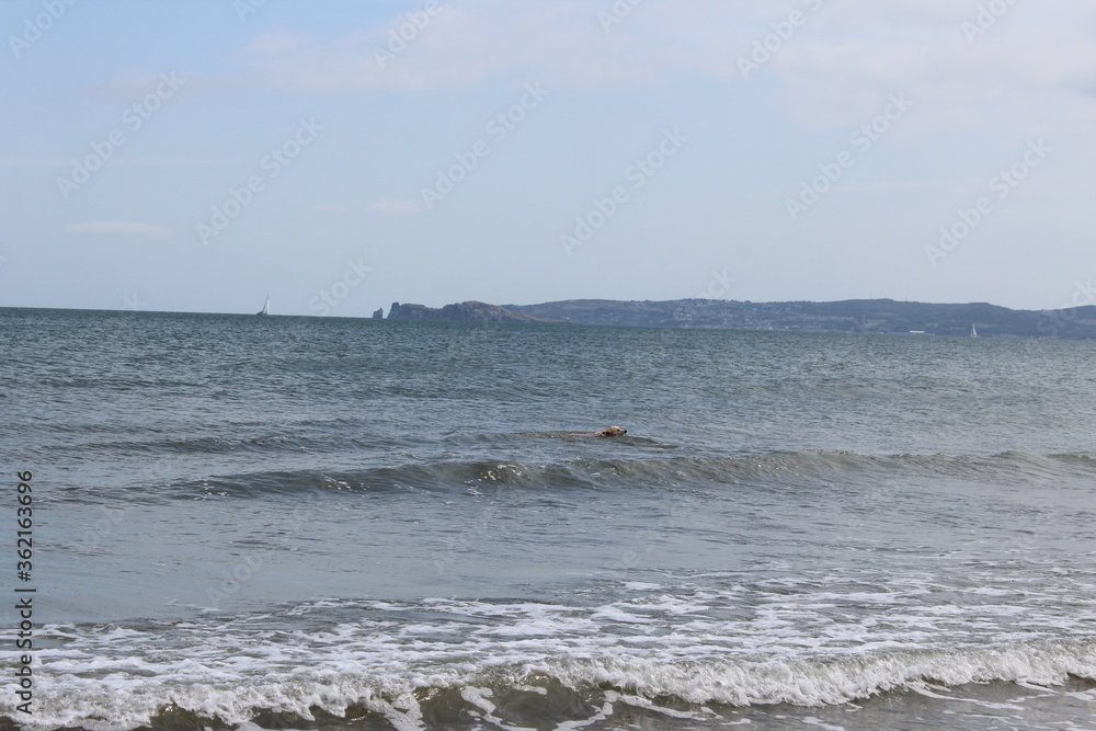 sea and beach