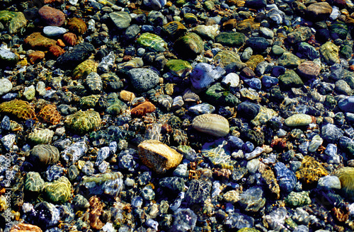 pebbles on the beach