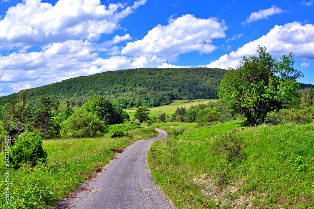 Rural country road in a grassy meadow on a blue sky with white clouds background