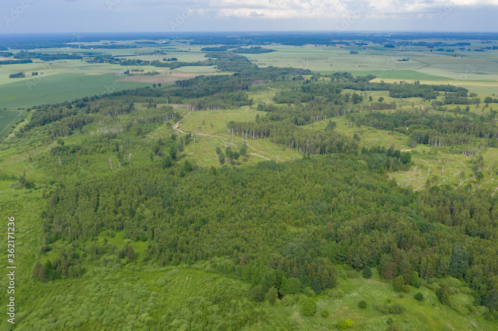 Aerial view of green forests surrounded by green farmland fields