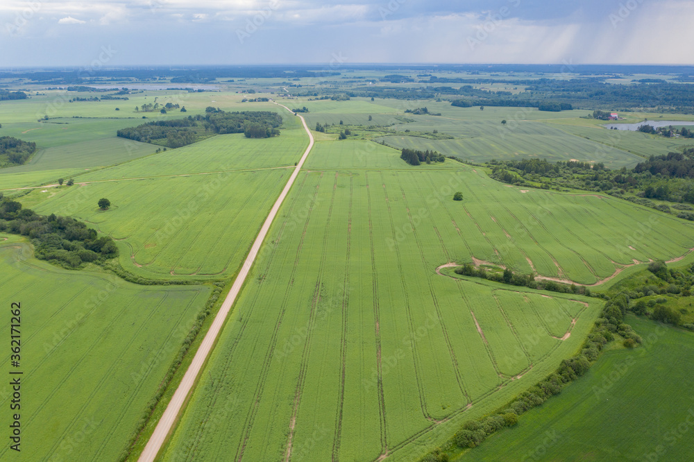 Aerial view of gravel road on green farmland fields in summer time