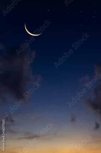 Obraz na plátne night sky with moon and clouds vertical