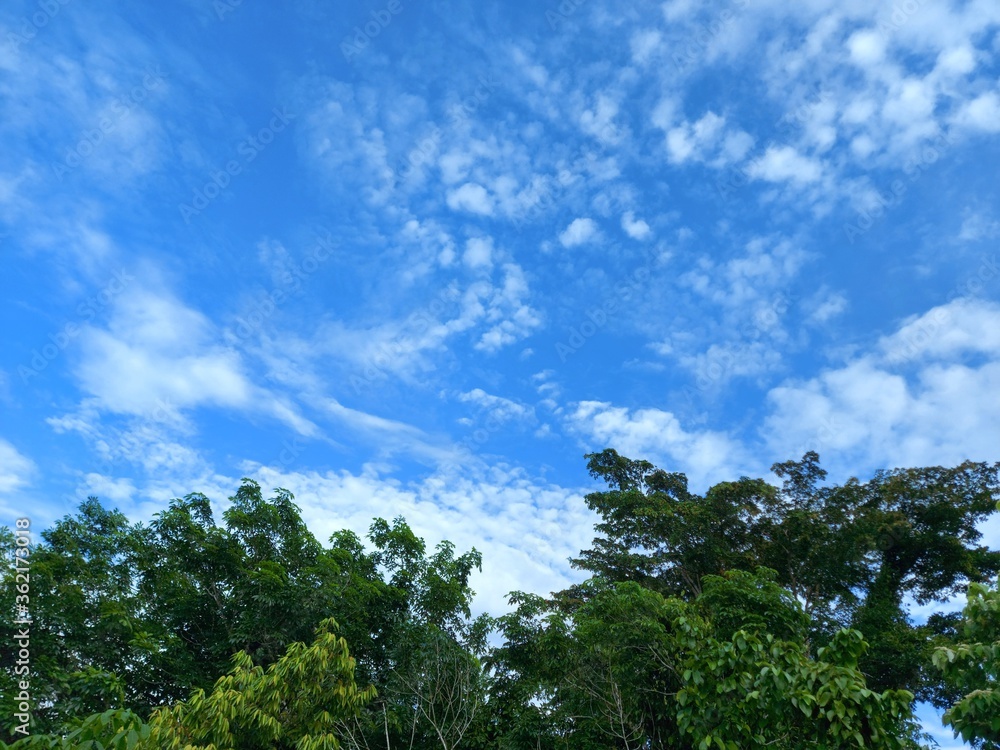 clouds and blue sky on a clear day clouds and blue sky on a clear day