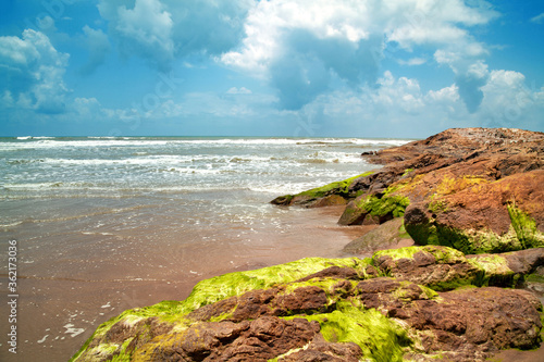 Beautiful Anjuna Beach of Goa  Famous tourist destination  Goa  India