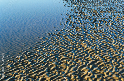 wadden sea ripples