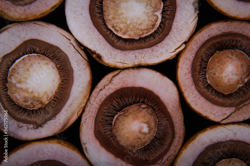 Mushrooms are cut with a large number of circles from the top and can be seen from the middle.