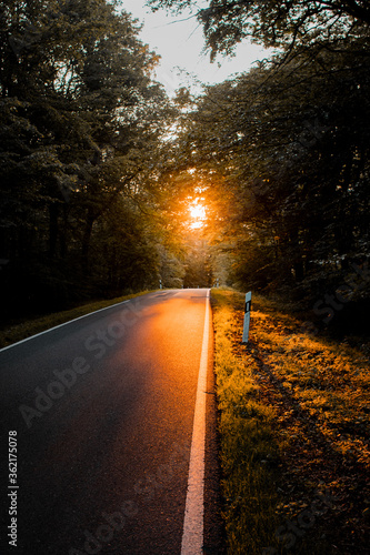 Beautiful colorful sunset light in the dark mountain forest with road view. Idyllic driving scnene. Harz Mountains, Harz National Park in Germany.