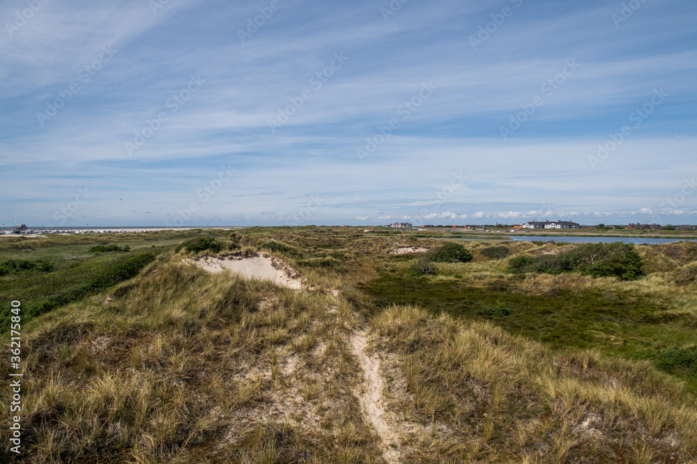 Dunes at the North sea coast