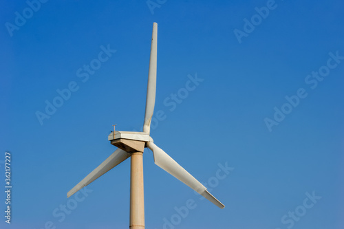 Windmills for electric power production at mandvi beach, gujarat, india. photo