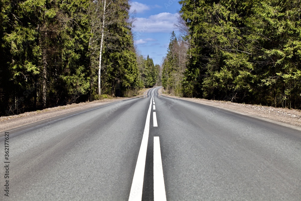 Obraz premium Straight empty asphalt road through the coniferous forest. Modern countryside road leading into the distance. Highway surface close up. Diminishing perspective road view. Traveling by car. Road trip.