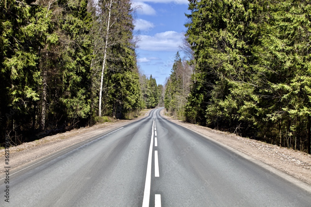 Straight empty asphalt road through the coniferous forest. Modern countryside road leading into the distance. Highway surface close up. Diminishing perspective road view. Traveling by car. Road trip.