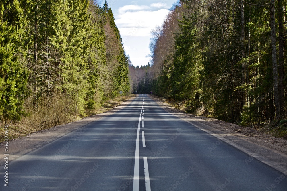 Straight empty asphalt road through the coniferous forest. Modern countryside road leading into the distance. Highway surface close up. Diminishing perspective road view. Traveling by car. Road trip.